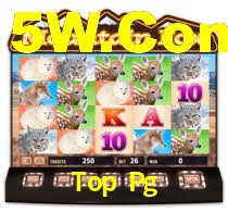 ToPPg.Com
