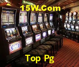 Sistemas de Segurança Top Pg